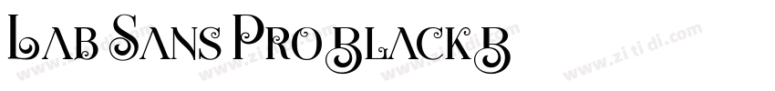 Lab Sans Pro Black B字体转换
